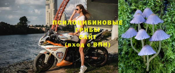 не бодяженный Новочеркасск